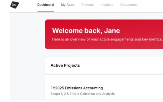 Consulting Portal Screenshot